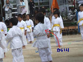 blog_import_4d26e1225dddf.jpg
