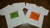 blog_import_4d26e0eead745.jpg
