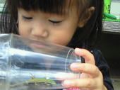 blog_import_4d26e0a933b8d.jpg