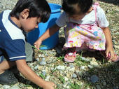 blog_import_4d26dff3640e9.jpg