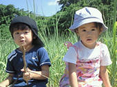 blog_import_4d26dff208185.jpg