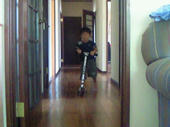 blog_import_4d26e00c3dc4a.jpg