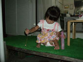 blog_import_4d26df0306ffe.jpg