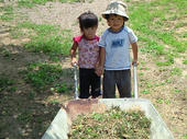 blog_import_4d26ddc0d6ac8.jpg