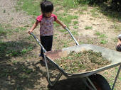 blog_import_4d26ddc3bc981.jpg