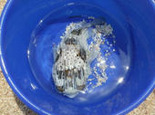 blog_import_4d26dd6042b0f.jpg