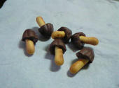 blog_import_4d26dcc0203bd.jpg