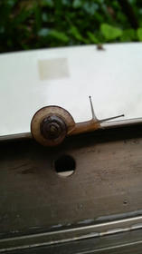 blog_import_4d26dbc6db6db.jpg