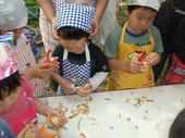blog_import_4d26db6ee8cbb.jpg
