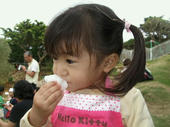 blog_import_4d26db757c3da.jpg