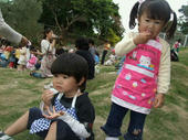 blog_import_4d26db7710bd9.jpg