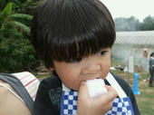 blog_import_4d26db7443891.jpg