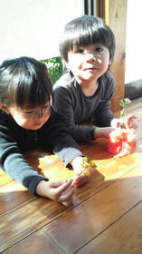blog_import_4d26db44dbfd0.jpg