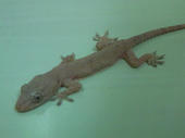 blog_import_4d26daddde4fb.jpg