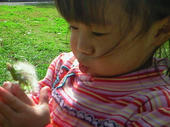 blog_import_4d26da600d72b.jpg