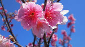 blog_import_4d26da57979a8.jpg