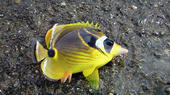 blog_import_4d26da4b07e3f.jpg