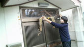 blog_import_4d26d8d8432ff.jpg