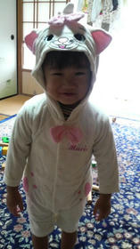 blog_import_4d26d8362272b.jpg