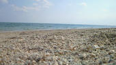 blog_import_4d26d77eb1c7a.jpg