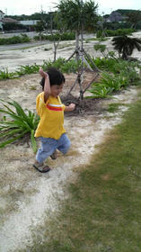 blog_import_4d26d7625e697.jpg