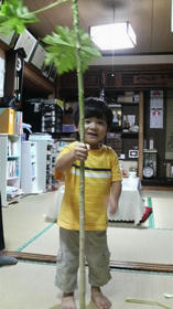 blog_import_4d26d73f2a630.jpg