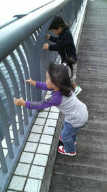 blog_import_4d26d661a132f.jpg