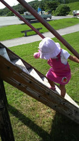 blog_import_4d26d642283a7.jpg