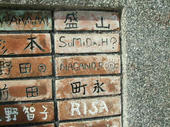 blog_import_4d26d5abce055.jpg