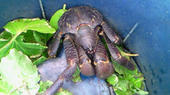 blog_import_4d26d59ee5b9f.jpg