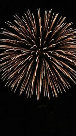 blog_import_4d26d5543f29a.jpg
