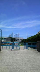 blog_import_4d26d42293dba.jpg
