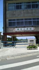 blog_import_4d26d421503f1.jpg
