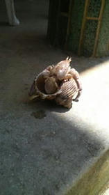 blog_import_4d26d42663187.jpg