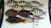 blog_import_4d26d3edaa36b.jpg