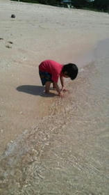 blog_import_4d26d35d41672.jpg