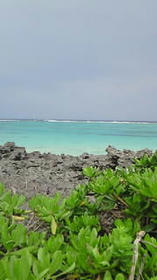 blog_import_4d26d2de5f4ea.jpg