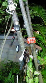 blog_import_4d26d2e11bcd8.jpg