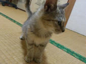 DSC_4175.JPG