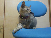 DSC_4186.JPG