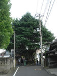 DSC023~1.JPG