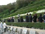 633d6a8a.JPG