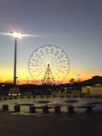Image130.jpg