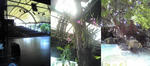 thai002.jpg