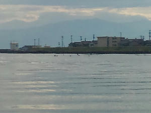 F1001011.JPG