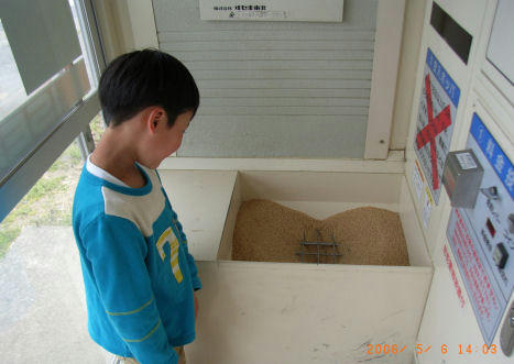 060506seimai2.JPG
