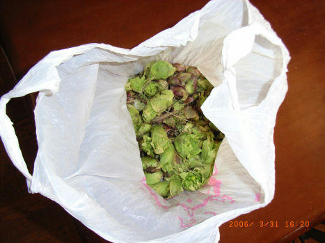 060331bakke.JPG