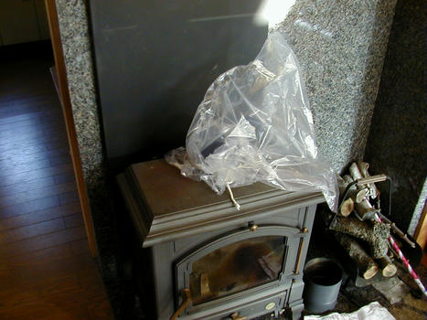 041110tori1.JPG