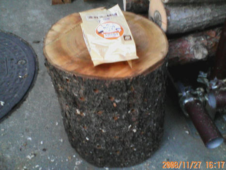 D1000022.JPG