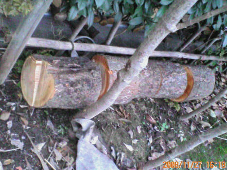 D1000023.JPG